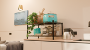 2 Tier Countertop Metal Wire Storage Rack